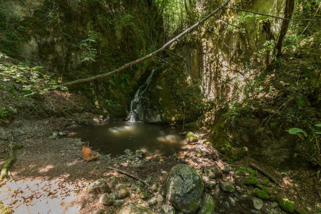 Mas Rural El Negre Ostello Ogassa